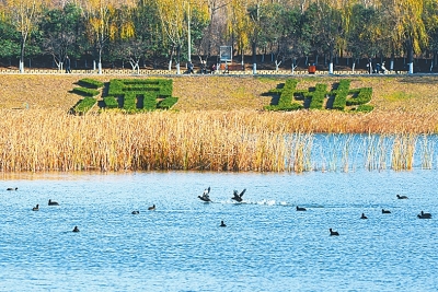 洲国家城市湿地公园进行了升级改造,成为平顶山市居民休闲的好去处