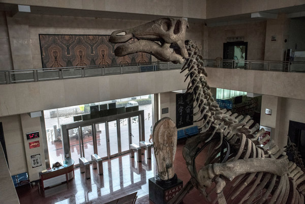 美媒：中国化石挖掘存灰色地带 村民私藏恐龙蛋