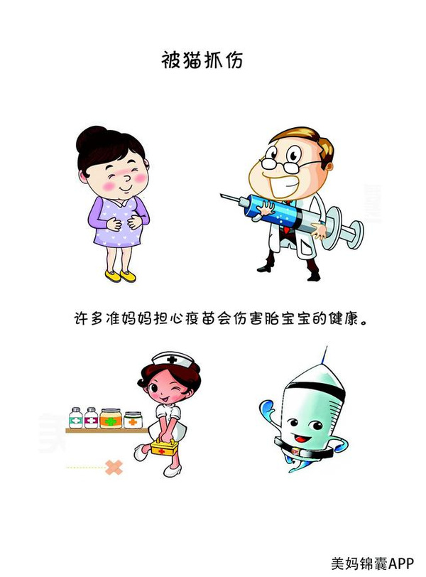 怀孕让狗抓伤了怎么办