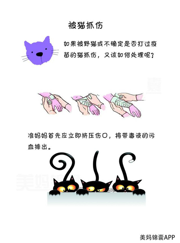 怀孕让狗抓伤了怎么办