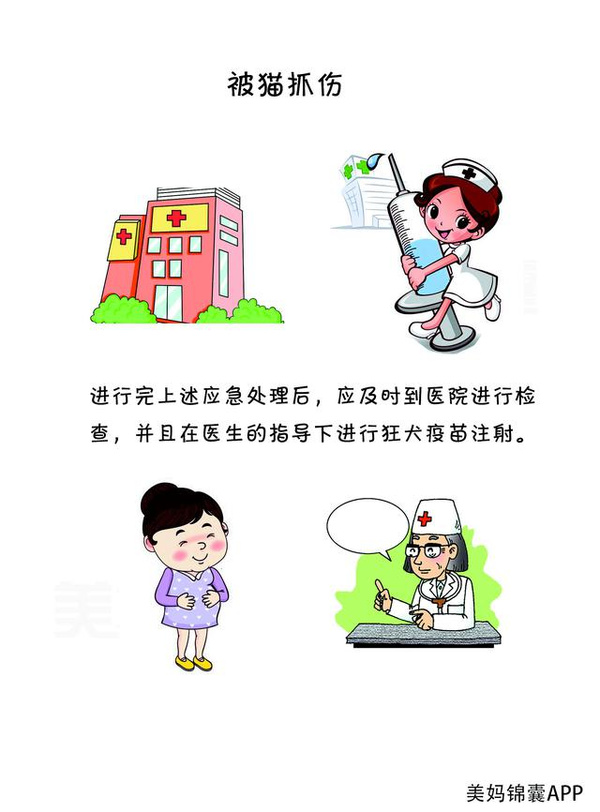 怀孕让狗抓伤了怎么办