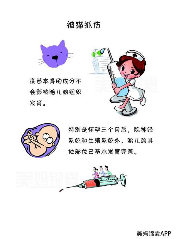 怀孕让狗抓伤了怎么办