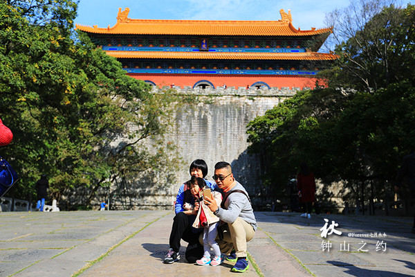 南京明孝陵,秋意浓浓【家庭游】