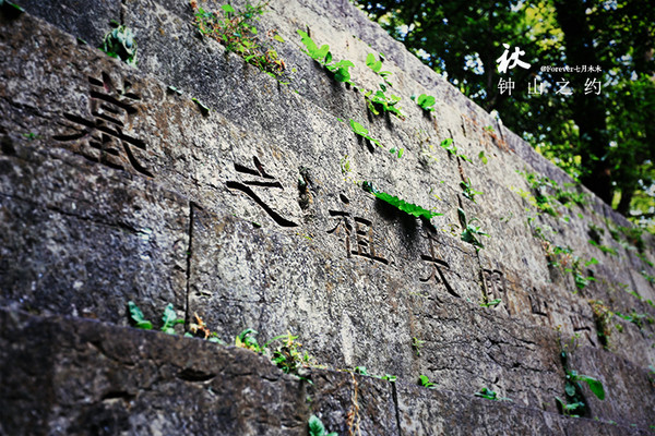 南京明孝陵,秋意浓浓【家庭游】