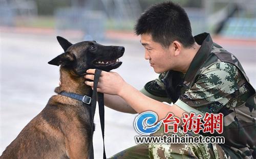 杨富光在厦门消防搜救犬队待了7年,与警犬朝夕相处,感情很深