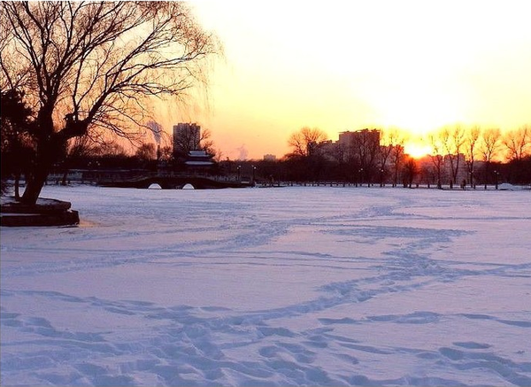 大雪已至,如何有气质地与冬天相约?