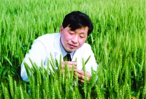 两院院士增选：泥腿子教授水稻亩产量曾超袁隆平