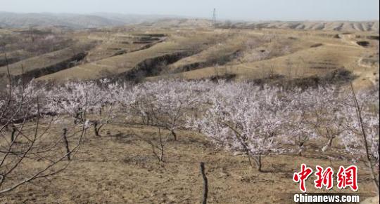 山西临县征地被指未公告 村民称没见过征地批