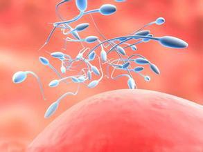 男性精子存活率低 四种食疗方法可改善