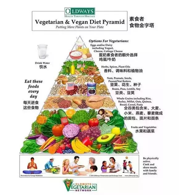素食者食物金字塔