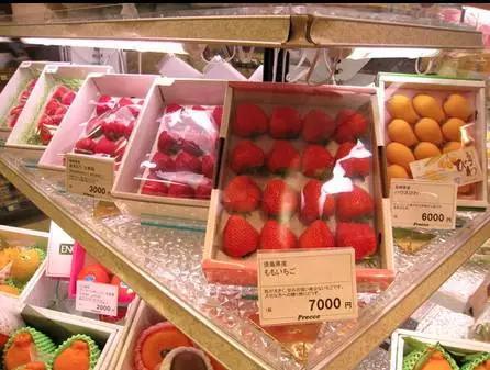日本的蔬菜水果究竟有多贵?-搜狐