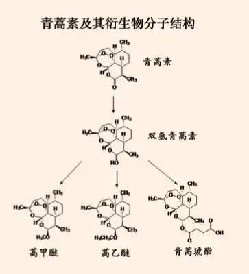 了青蒿素及其衍生物双氢青蒿素,蒿甲醚,青蒿琥酯,蒿乙醚的分子结构