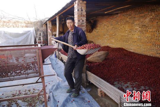 27岁白领从北京辞职 回山西老家帮乡亲义卖红枣