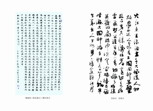 成语涕泗什么流_浊涕是什么样子图片(4)