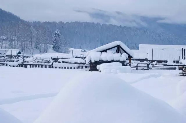 如果东北的雪景是童话,那北疆的雪景便是神话!