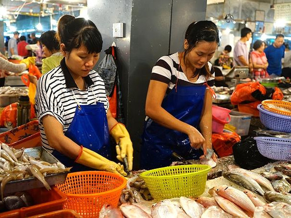 几月份去海边吃海鲜好_山东济南人一年吃了1.3万吨贝类海鲜(3)
