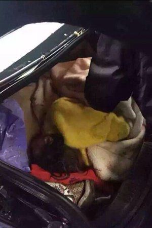 尸身被藏尸轿车后备箱。图像来自收集