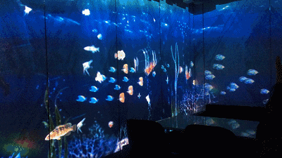 超带感裸眼3d海底餐厅,触手可及摇着尾巴游过的