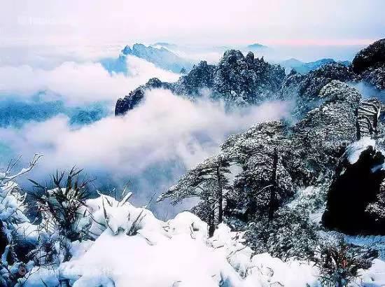 怀念那年冬天的第一场雪