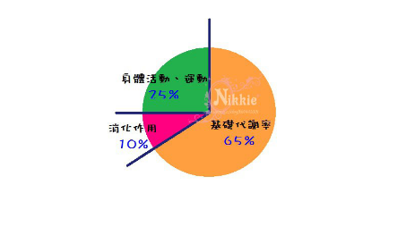 冬天吃肉更有利于减重,基础代谢率高体重自然