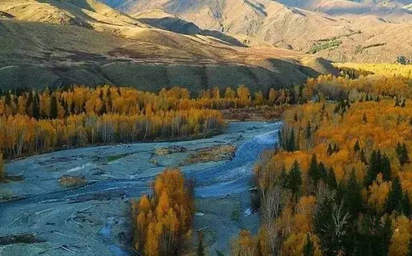 新疆四季旅游攻略,每个季节都有不同的景色