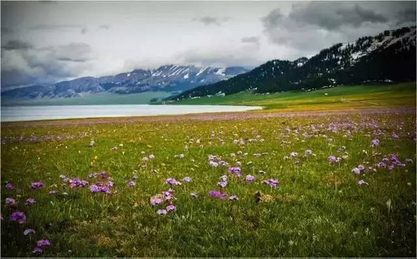 新疆四季旅游攻略,每个季节都有不同的景色