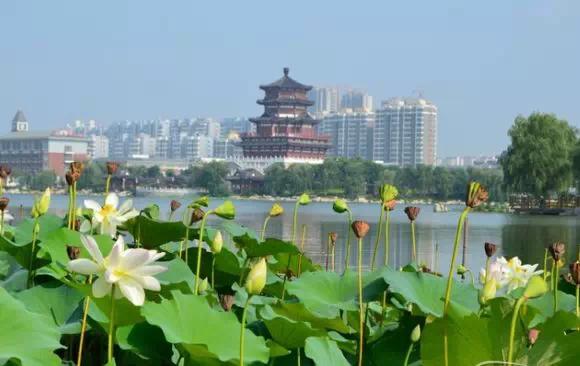 济宁多少人口_济宁到底在干嘛 如果这样干,是不是会把建设红利丧失殆尽