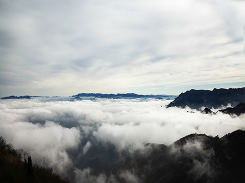 绿葱坡山岚