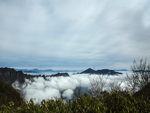 绿葱坡山岚