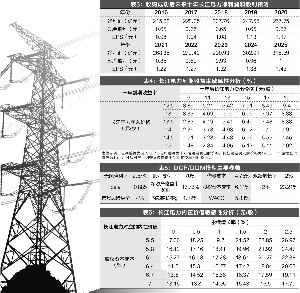 长江电力:股票债券化 高分红锁定长期收益(组图