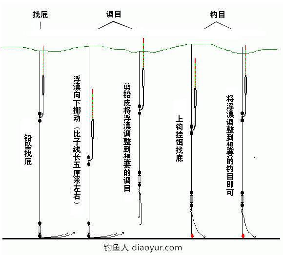 钓鱼入门最系统的教程,新手要看!