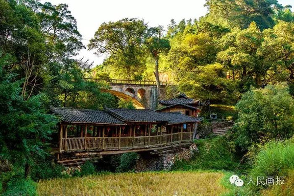 将乐县良地村里,绿意葱葱.摄影马耕平/人民画报