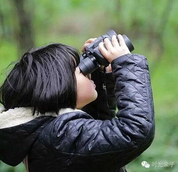 自然教育系列题活动包括三大部分:自然观察;自然探索;完美童年 用一