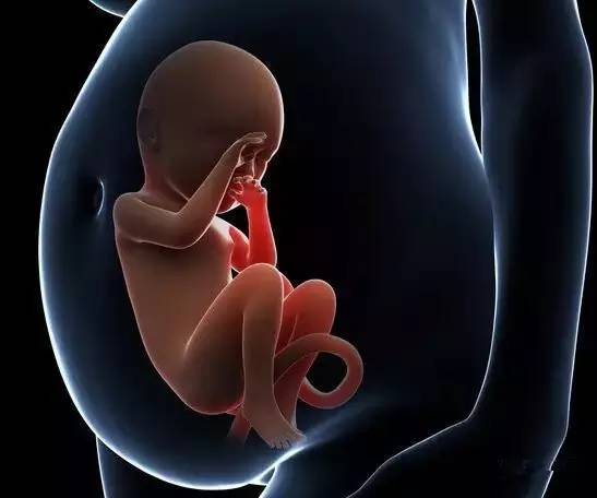 为了生儿子,她第三次剖腹产,打开肚子时医生惊