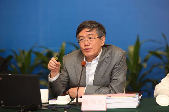 中共中央财经领导小组办公室副主任杨伟民
