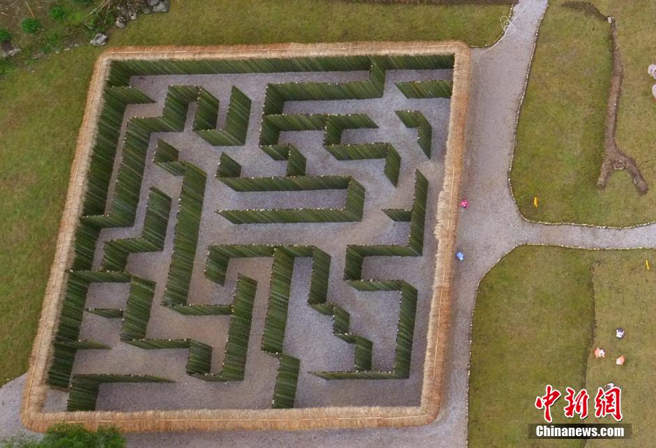 当地在秋收后的稻田里用稻草和竹子搭建了约300平米的"移动迷宫