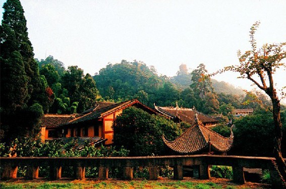 救救级风景名胜区缙云山吧! 编语: 救救缙云山!用不着吧!