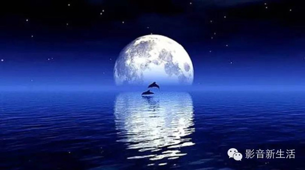 星辰大海_星辰的交响诗
