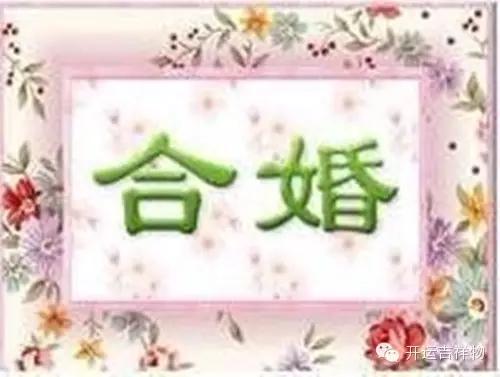 属相婚配中忌讳什么?