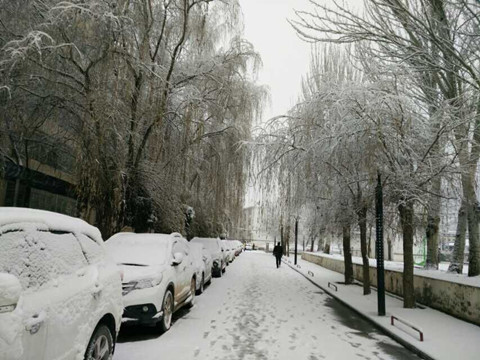 冬日晒雪:甘肃正宁庆城迎来降雪