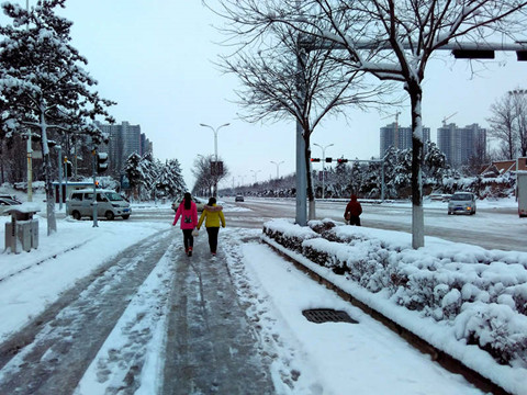 冬日晒雪:甘肃正宁庆城迎来降雪