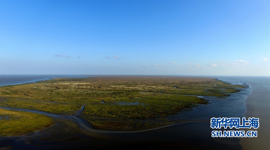 图为航拍上海九段沙湿地国家级自然保护区全景.