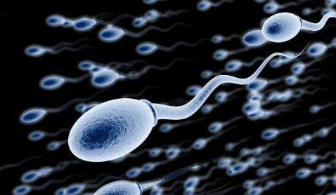 美女提高v美女力需养精蓄锐男性高根性感台湾图片
