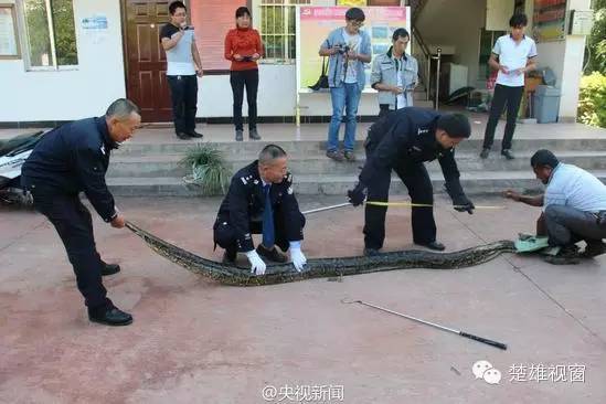云南楚雄多少人口_云南楚雄(2)