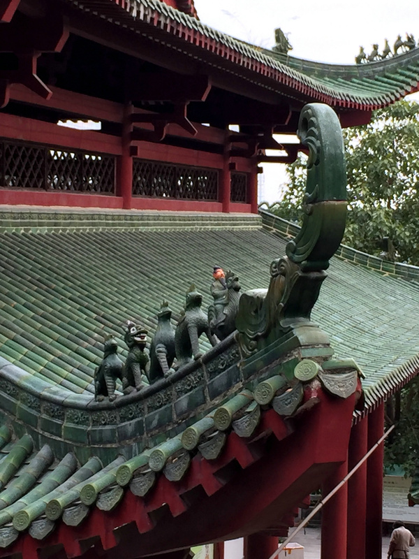 最优雅旅行 与会飞的花朵共舞,会飞的花朵金波