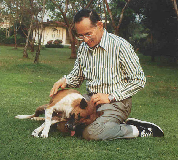 外媒:泰国男子发帖讽刺国王爱犬 面临37年监禁