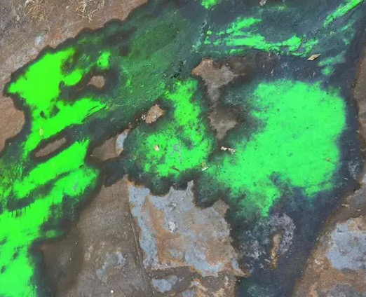 天津一化学公司试剂泄漏 水泼到水泥地变绿(图)