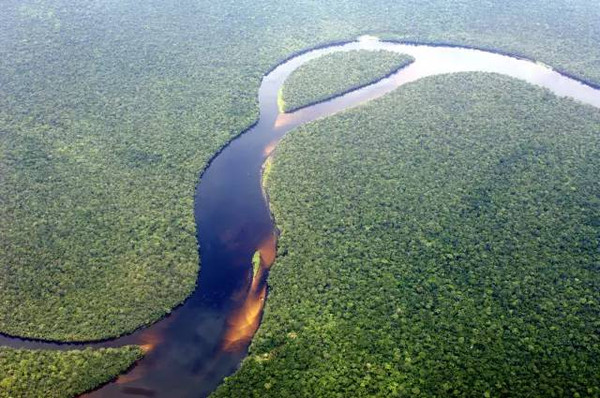刚果盆地是仅次于亚马逊雨林的世界第二大热带雨林 ..