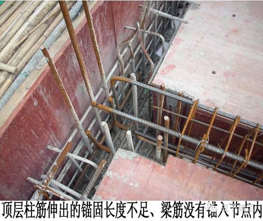 怎样的主受力钢筋满足质量标准要求