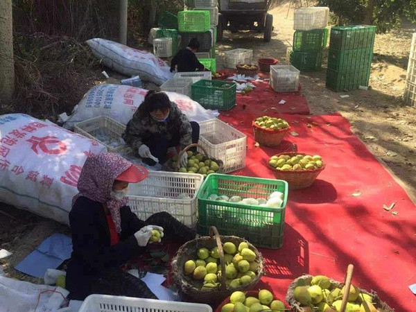 [生财有道]张银杰吃喝不花钱的农家乐，背后的致富之道